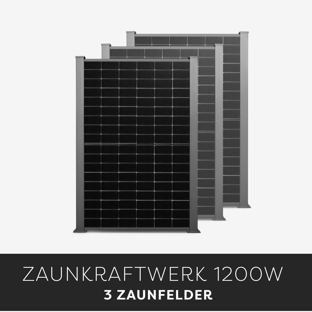 Efficienza Zaunkraftwerk 1200W Efficienza Zaunkraftwerk 1200W