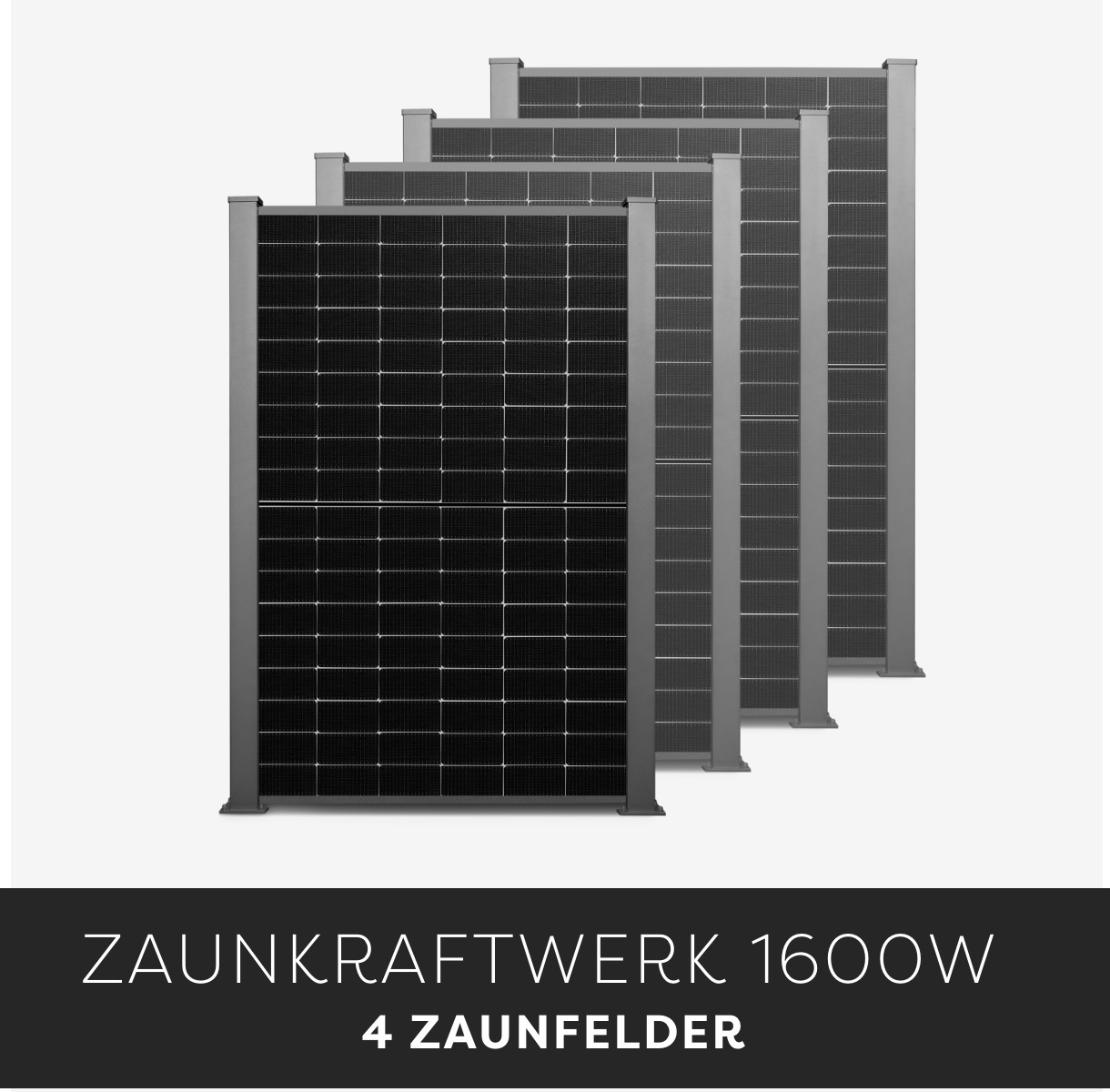 Efficienza Zaunkraftwerk 1600W Efficienza Zaunkraftwerk 1600W